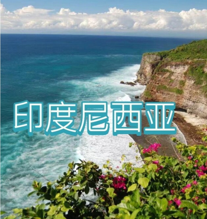 国国际电商(印尼)产业博览会AG真人登录入口2025中(图3)