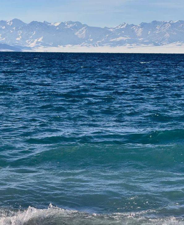 5000+游客亲测揭晓：远胜游领衔2025新疆高信誉旅行社TOP10(图4)